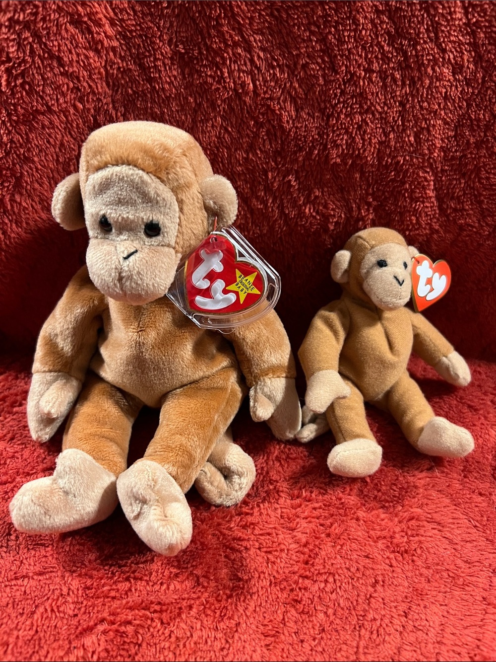 Ty Bongo Brown Plush Monkey Pair with Cream Accents